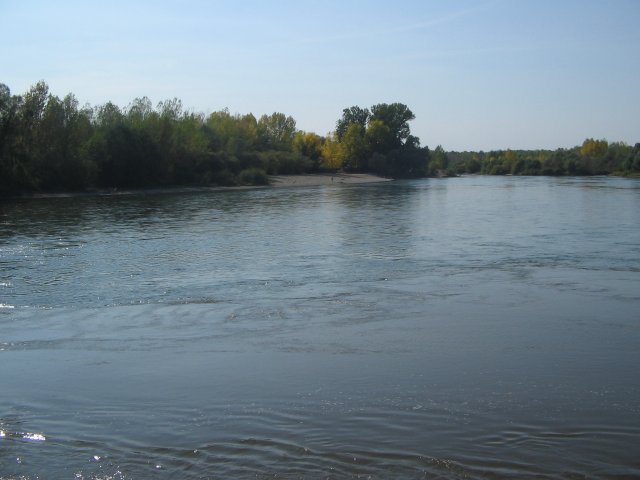 finnek 2011 004